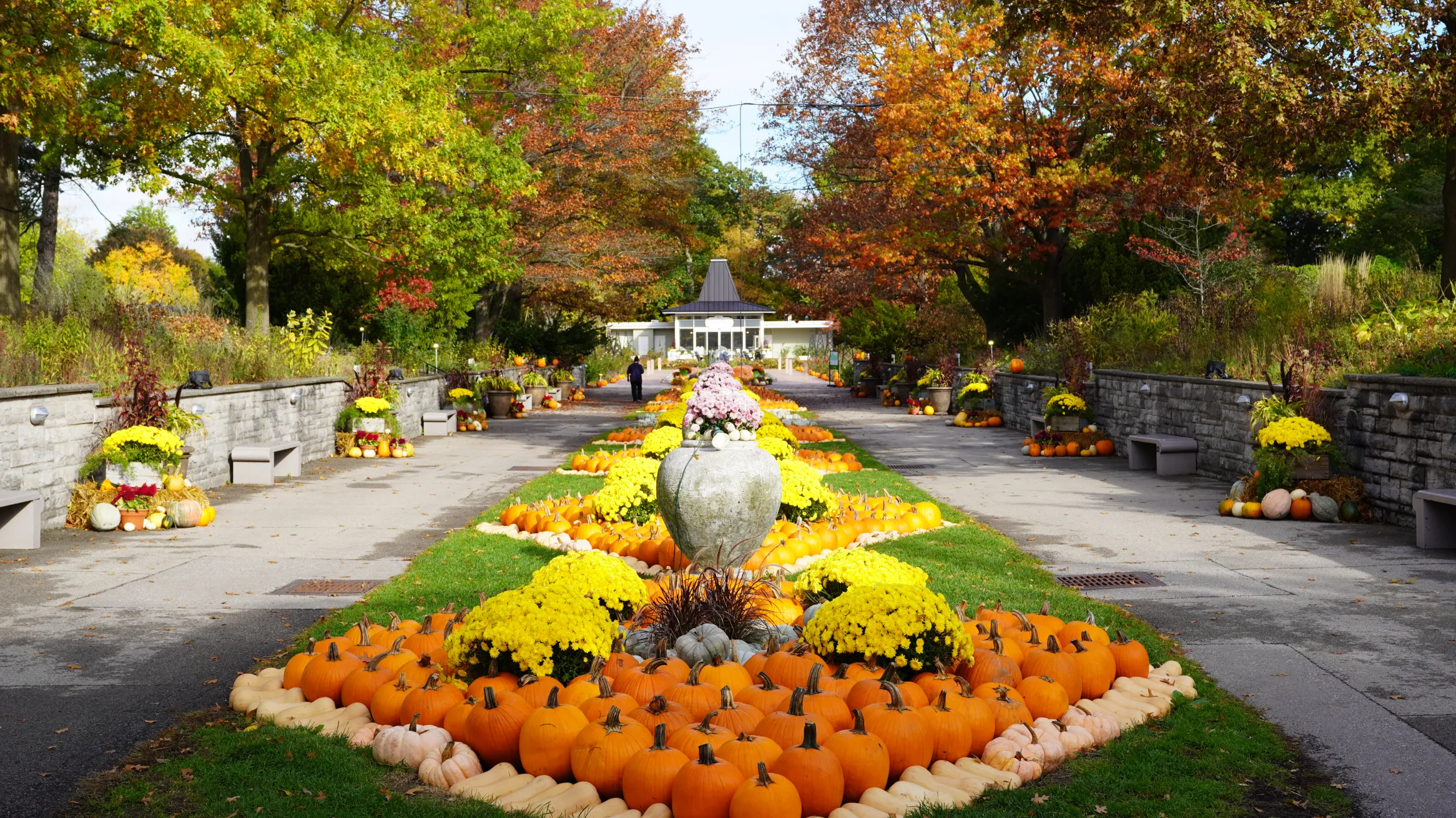 Image courtesy of Royal Botanical Gardens. Hendrie Park Fall Display.