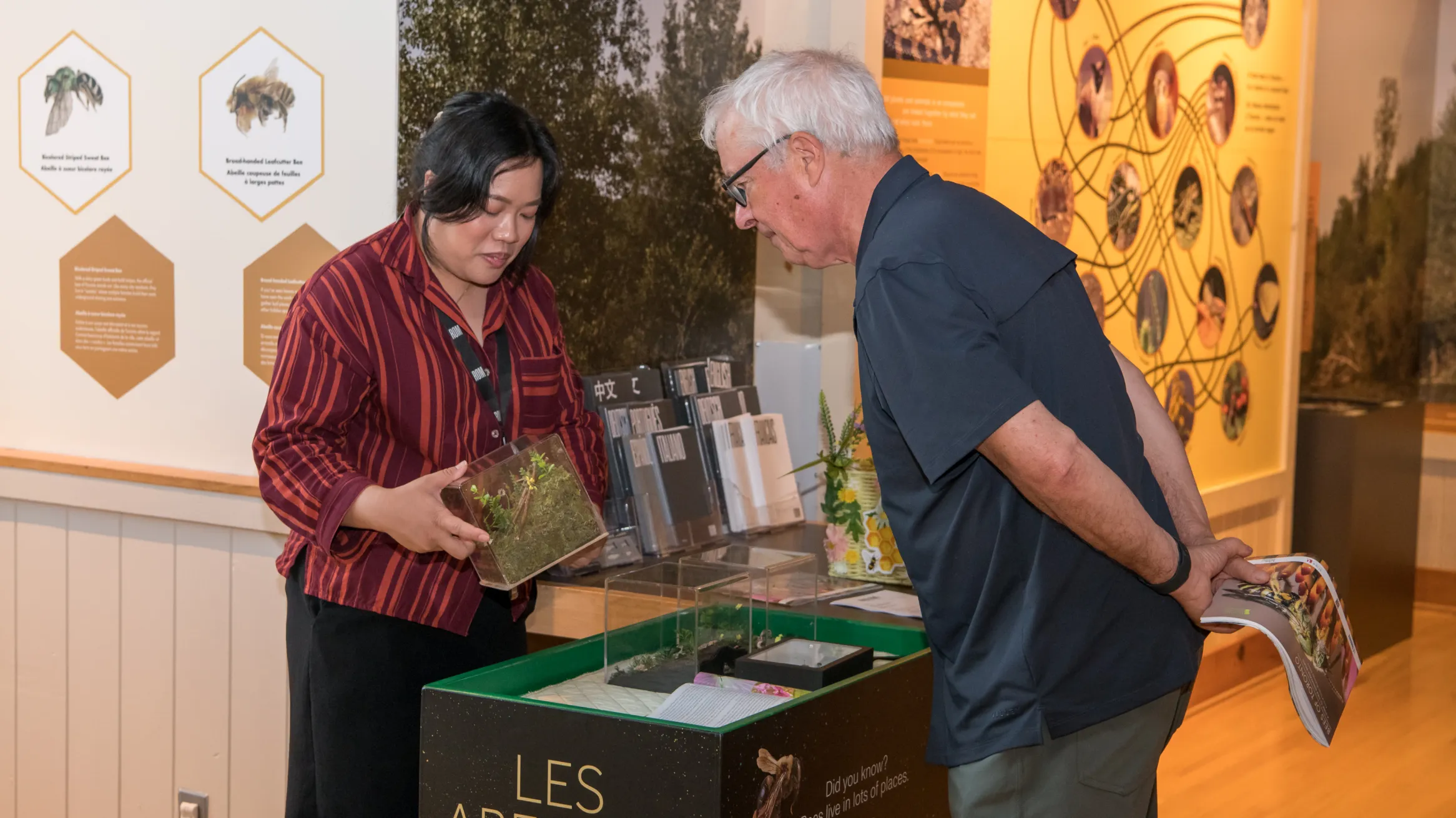 Two people examine an exhibit about "Les Abeilles" featuring plants and bee-related displays.