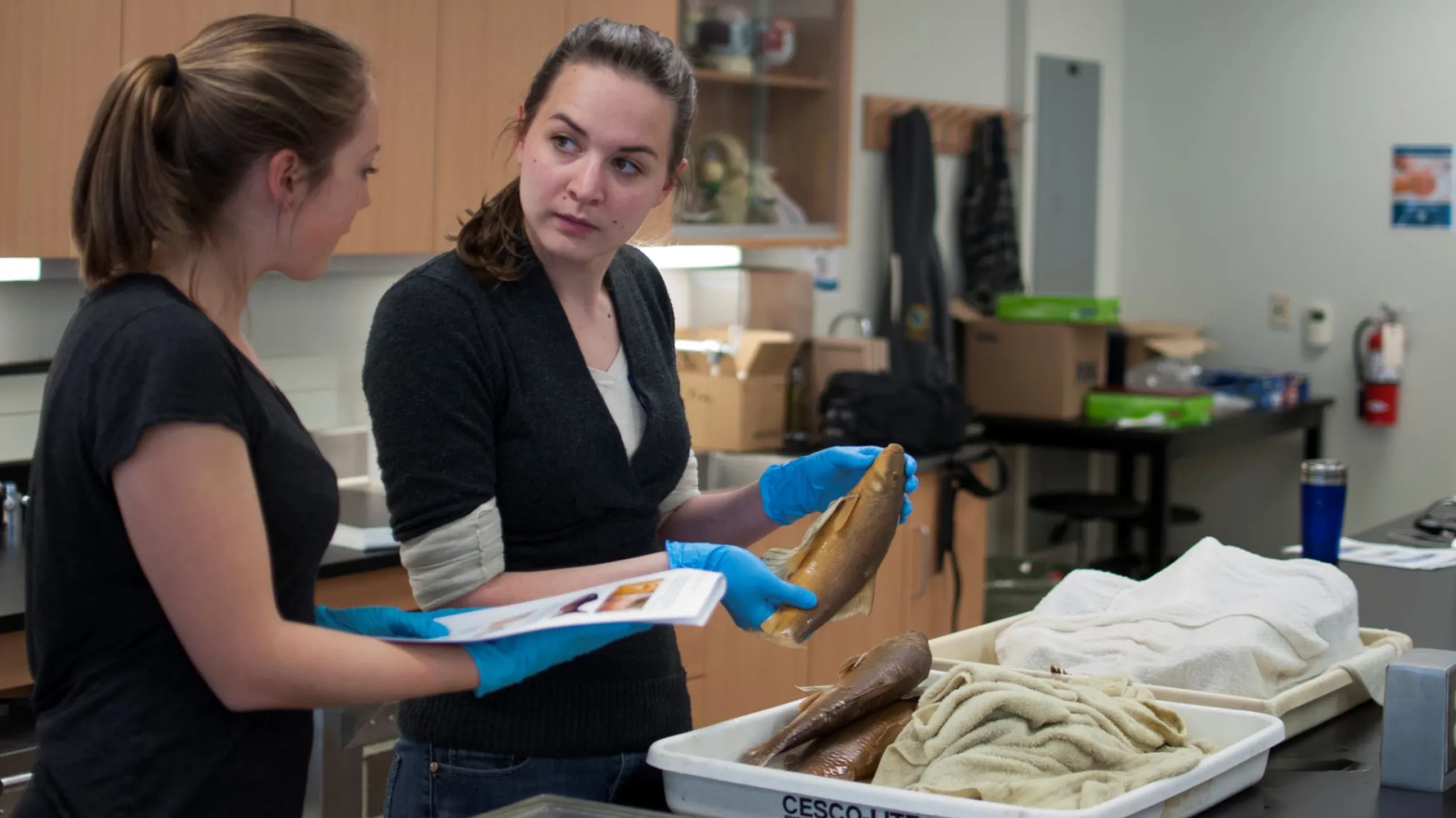 Two women examine a fish at an identification workshop.
